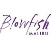 Blowfish Malibu logo