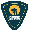 Ciesse Piumini logo