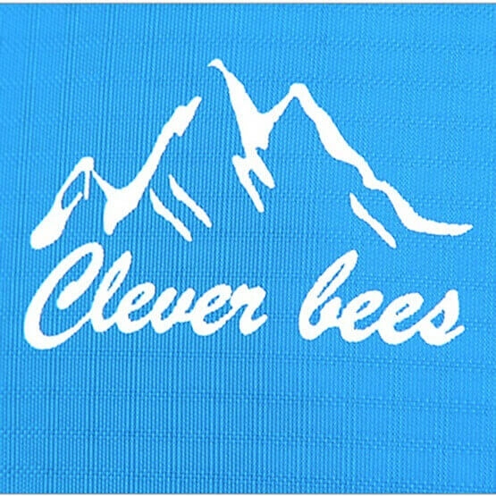 Clever Bees logo