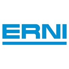 Erni logo