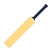 Cricket Bats & Accessories Category Image