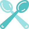 Spoons Category Image