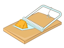 Mouse Traps Category Image