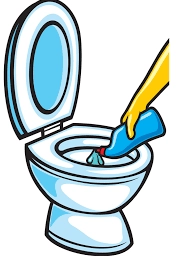 Toilet Cleaners Category Image