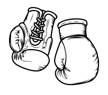 Boxing Gloves Category Image