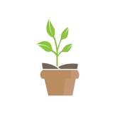 Plant Pots Category Image