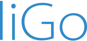 Logo of Ligo Electronics