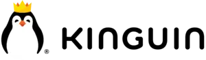 Logo of Kinguin