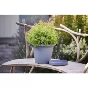 Clever Pots Charcoal Coloured Round Plant Pot 20cm - wilko - Garden & Outdoor
