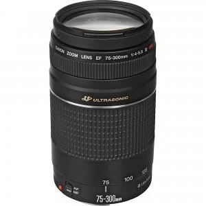 Canon EF 75 300mm f4 5.6 III USM Lens