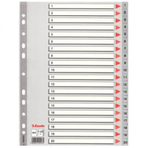 Esselte 100107 A4 Plastic Dividers Grey with 20 Tabs (11 holes)