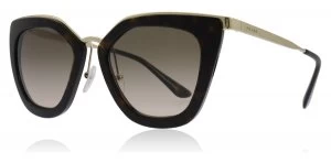 Prada PR53SS Sunglasses Tortoise / Gold 2AU3D0 52mm