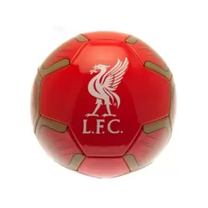 Liverpool Nemesis Ball Size 5