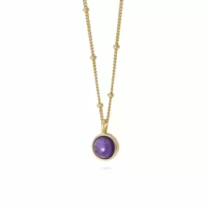 Daisy London Jewellery 18ct Gold Plated Sterling Silver Amethyst Healing Stone Necklace 18Ct Gold Plate