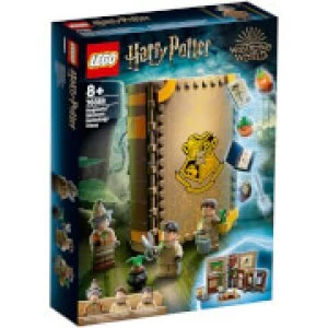 LEGO Harry Potter Hogwarts Moment: Herbology Class (76384)