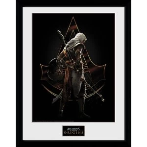 Assassins Creed Origins Assassin Framed Collector Print
