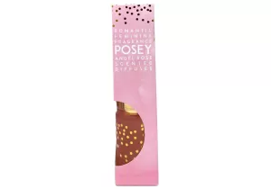 Posey Reed Diffuser in Gift Box Angel Rose Scent