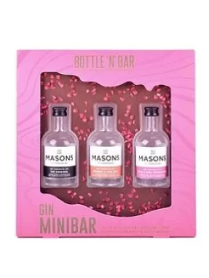 Bottle N Bar Masons Gin Minibar