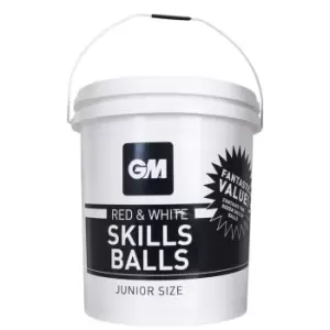 Gunn And Moore and Moore Skills Ball x24 - Red