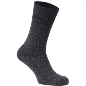 Craghoppers Mens Explorer Wool Blend Wicking Padded Walking Socks UK Size 6-8 (EU 39-42)