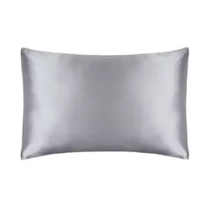 Belledorm 100% Mulberry Silk Pillowcase (One Size) (Platinum)