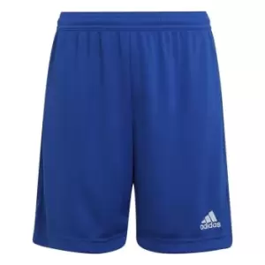 adidas ENT22 Shorts Juniors - Blue