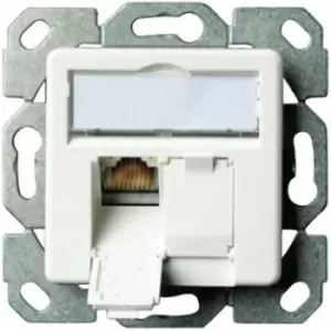 Telegaertner Network outlet Flush mount Insert with main panel CAT 6A 2 ports Alpine white