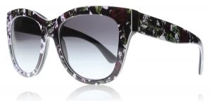 Dolce & Gabbana DG4270 Sunglasses Print / Roses 30198G 55mm