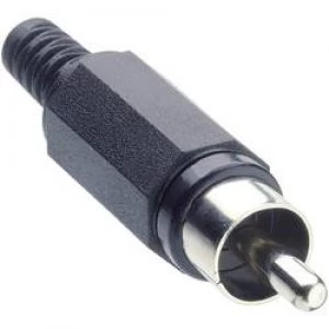RCA connector Plug straight Number of pins 2 Black Lumberg XSTO 1