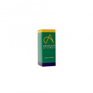 Absolute Aromas Carrot Seed Oil 10ml