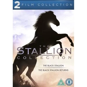 2 Film Collection - The Black Stallion / The Black Stallion Returns DVD
