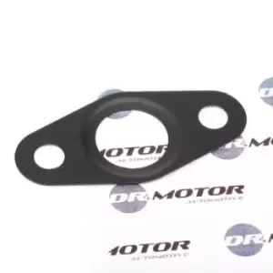 DR.MOTOR AUTOMOTIVE Gaskets BMW,OPEL,FIAT DRM01055 11422246091,55193060,55566151 Seal, oil outlet (charger) 5860558,860844,93175301