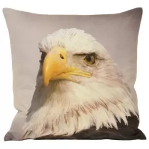 Riva Home Animal Eagle Cushion Cover (45x45cm) (Multi)