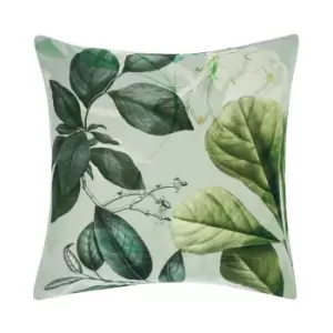 Glasshouse Botanical Pillow Sham Mint