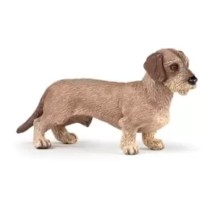 Papo Dog and Cat Companions Dachshund Toy Figure, 3 Years or...