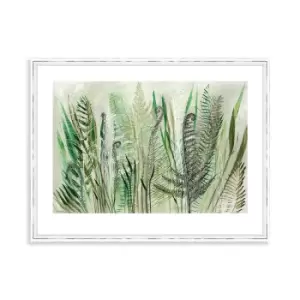 The Art Group Shyama Ruffell Ferns Ii Framed Art - 60x80cm