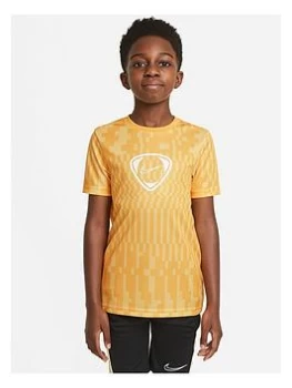 Boys, Nike Youth Dry Academy Top - Gold, Size M