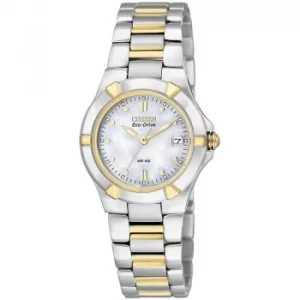 Ladies Citizen Eco-drive Ladies Wr100 Stainless Steel Watch