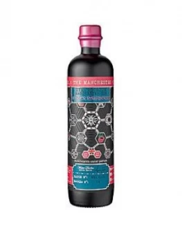 Zymurgorium Winter Raspberry Gin 50Cl