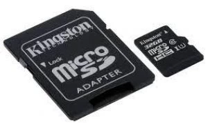 Kingston Canvas Go 32GB Micro SDHC Memory Card
