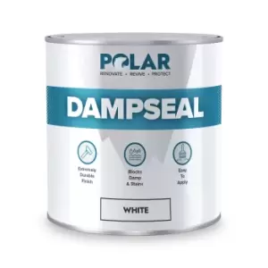 Polar Damp Seal - White Anti Damp Paint 1L