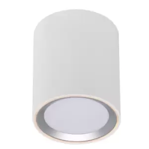Fallon Long LED Dimmable Surface Mounted Downlight White, Brushed Steel, 2700K