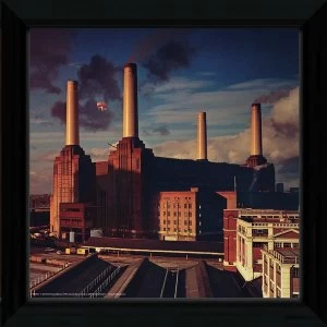 Pink Floyd Animals Framed Album Cover