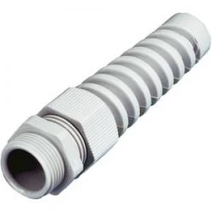 Cable gland with strain relief with bend relief PG11 Polyamide