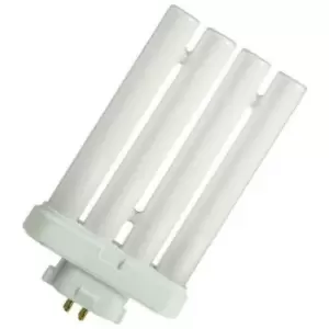Schiefer Lighting CFL Push Fit 27W 4-Pin Daylight Frosted