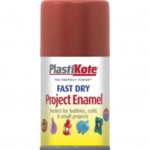 Plastikote Dry Enamel Aerosol Spray Paint Nut Brown 100ml