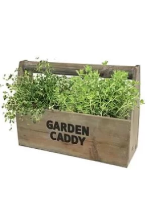 Wooden Garden Herb Caddy