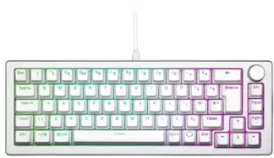Cooler Master CK720 65% Hot Swappable USB Mechanical Gaming Keyboard - Silver White