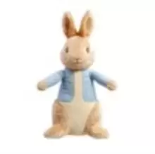 24cm Peter Rabbit Soft Toy