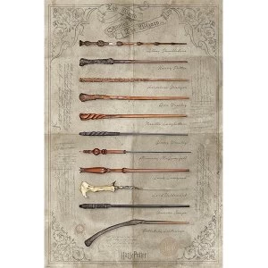 Harry Potter - The Wand Chooses The Wizard Maxi Poster